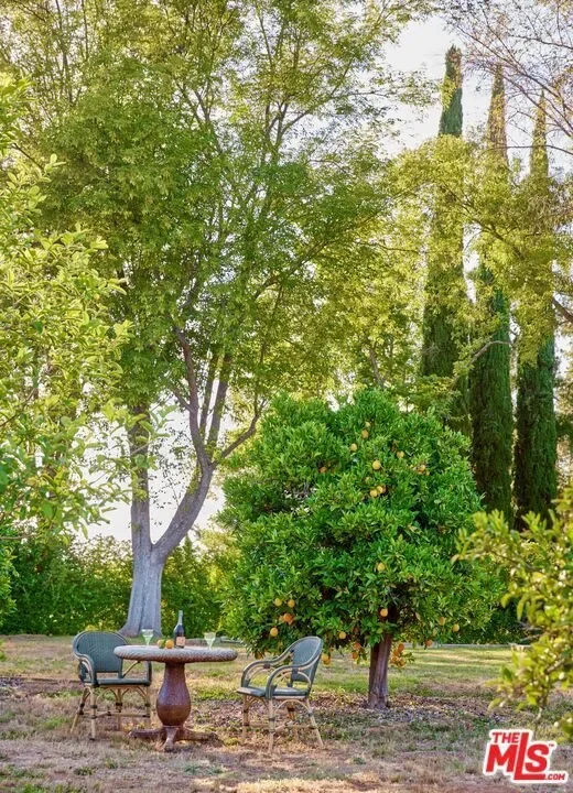 Ojai, California, United States. - Photo 35