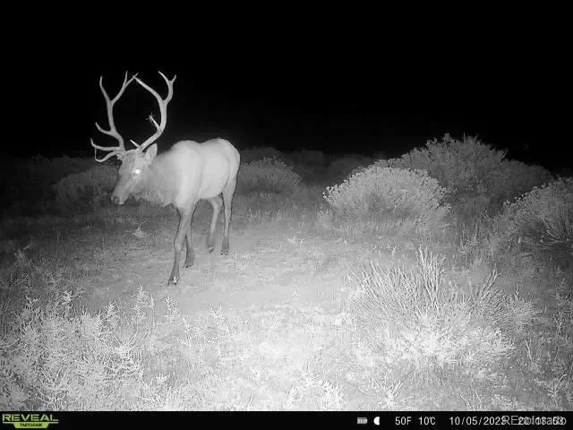 Walsenburg, Colorado, United States. - Photo 38
