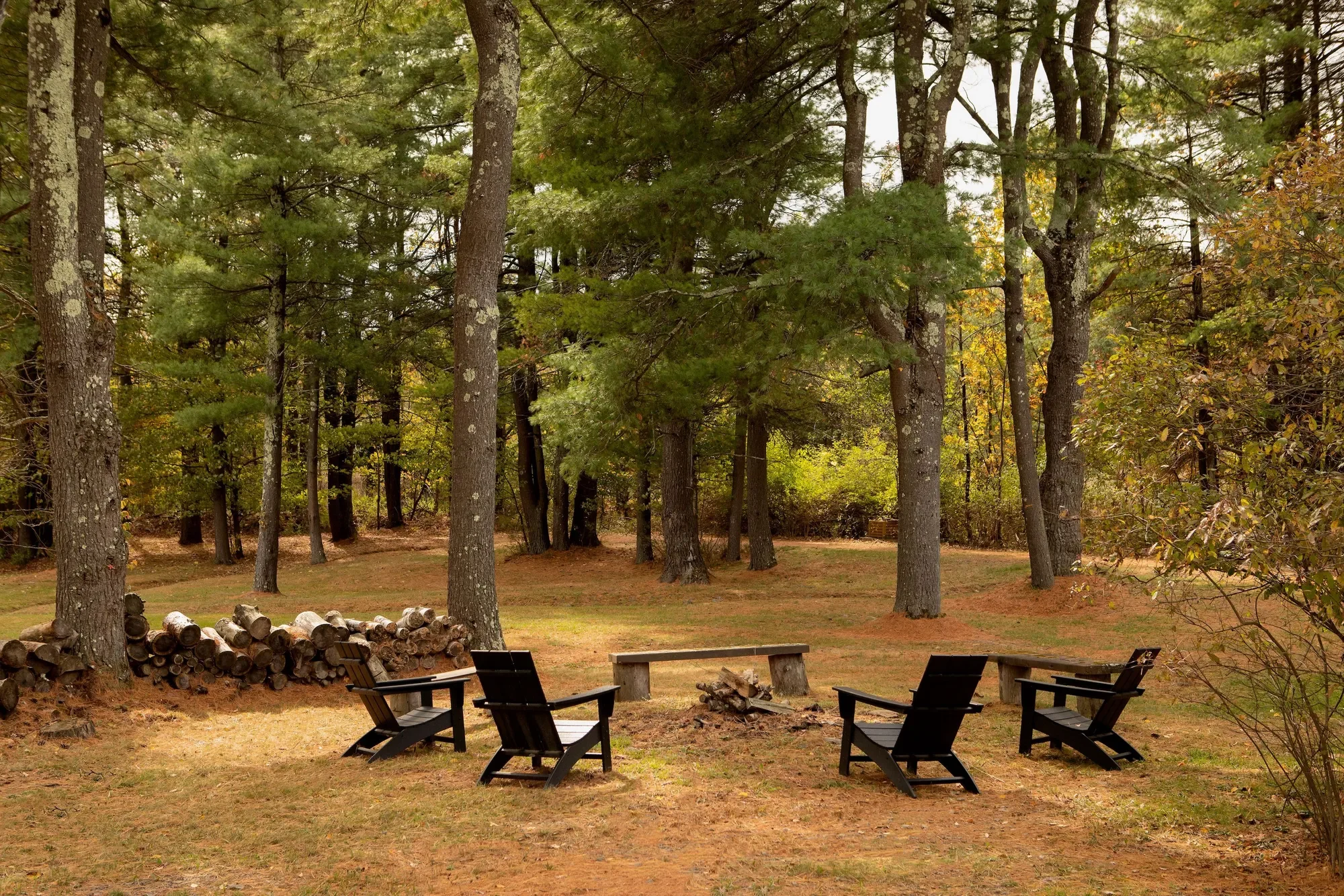 353 Haas Hill Road , West Coxsackie, NY 12192, New Baltimore, New York, United States. - Photo 33