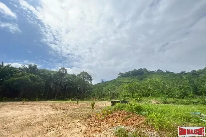 Phang Nga,, Tha Yu, Phang-nga, Thailand. - Photo 14