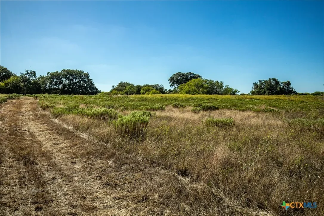 21123 Lamm Road, Elmendorf, TX 78112, Elmendorf, Texas, United States. - Photo 15