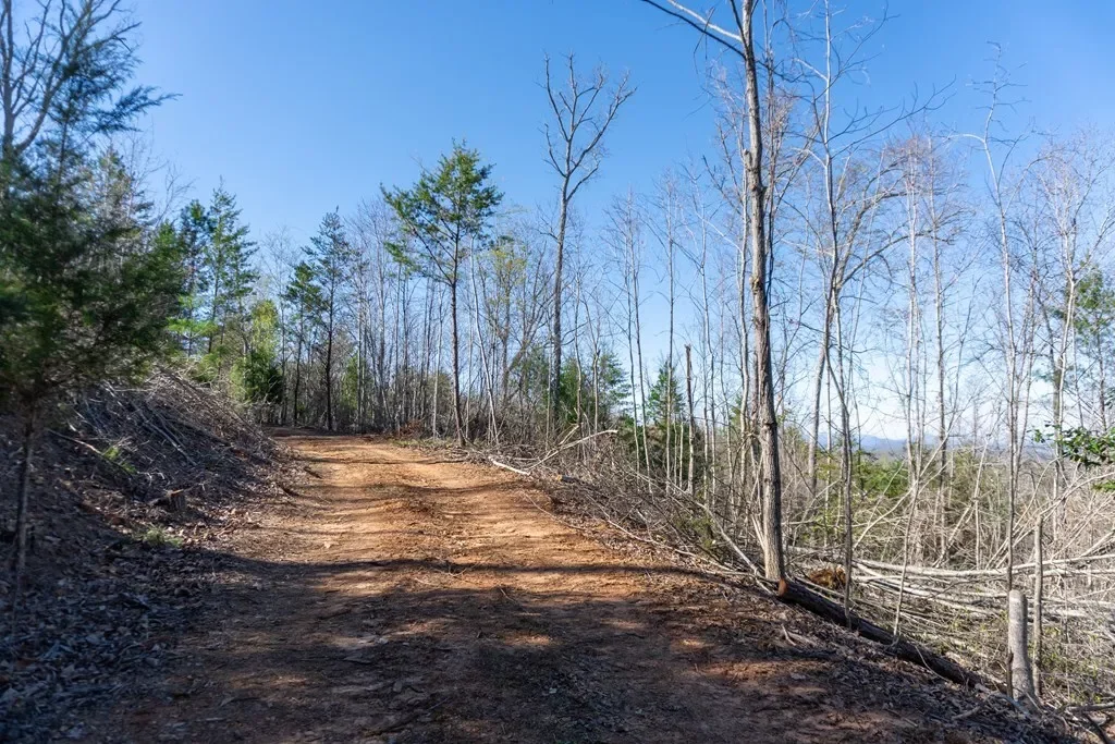 41AC Loving Road, Blairsville, Georgia, United States. - Photo 14