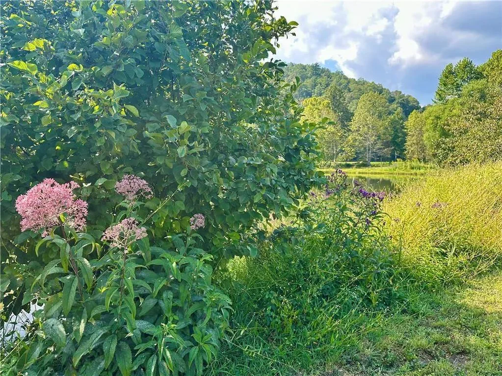 Clarkesville, Georgia, United States. - Photo 18