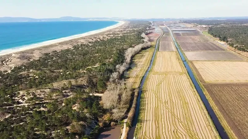 Comporta, Setubal, Portugal. - Photo 9