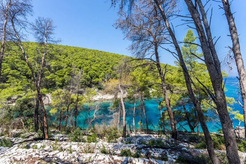 Vela Luka, Dubrovnik-Neretva, Vela Luka, Dubrovnik-Neretva County, Croatia. - Photo 16