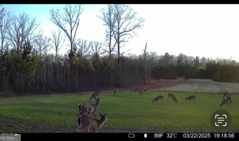 153 Highland Circle, Flovilla, GA 30216, Flovilla, Georgia, United States. - Photo 32