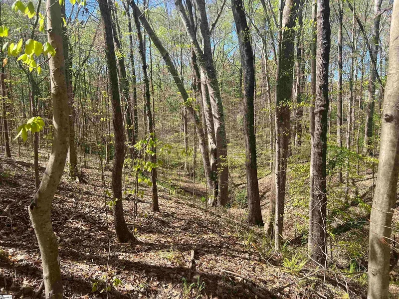 00 76 Highway, Clemson, SC 29631, Clemson, South Carolina, United States. - Photo 6