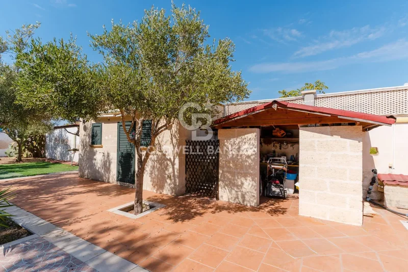 Strada della Contessa Lanfranchi, Acquadolce Cirenaica, Apulia, Italy. - Photo 9