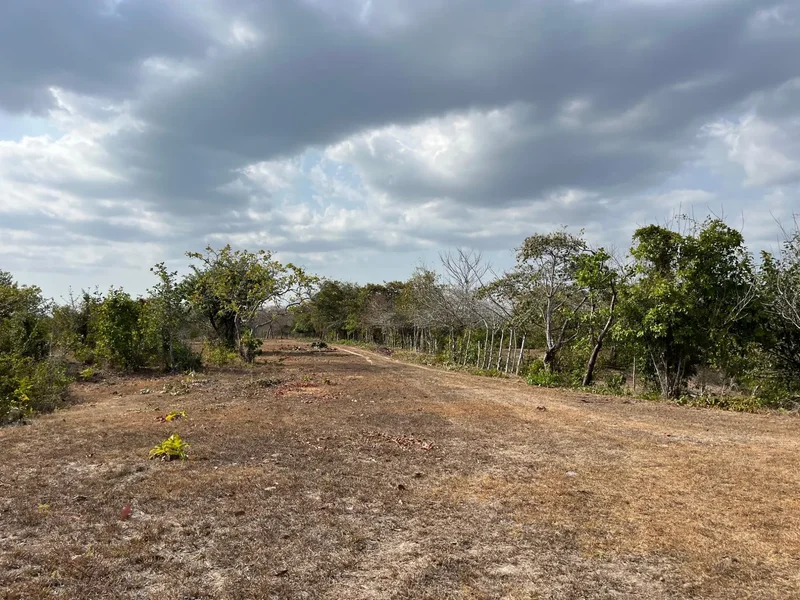 23 hectares, 5 minutes from the Pan-American