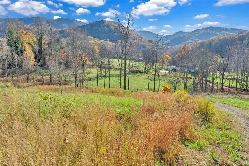 0 Poage Valley RD EXT, Roanoke, VA, 24018, USA, Cave Spring, Virginia, United States. - Photo 88