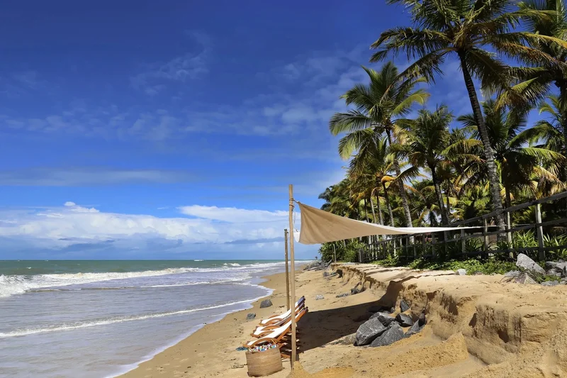State of Bahia, Brazil. - Photo 35