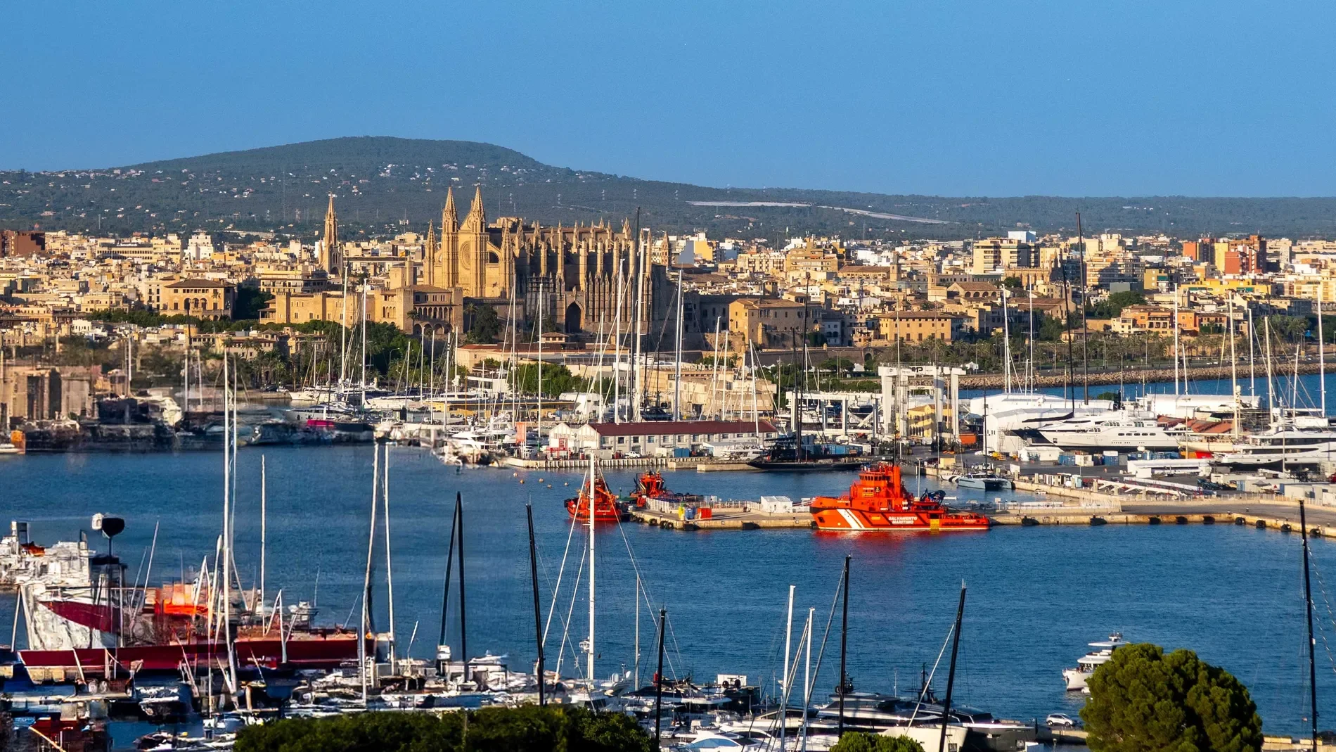 El Terreno, Mallorca, El Terreno, Palma, Balearic Islands, Spain. - Photo 14