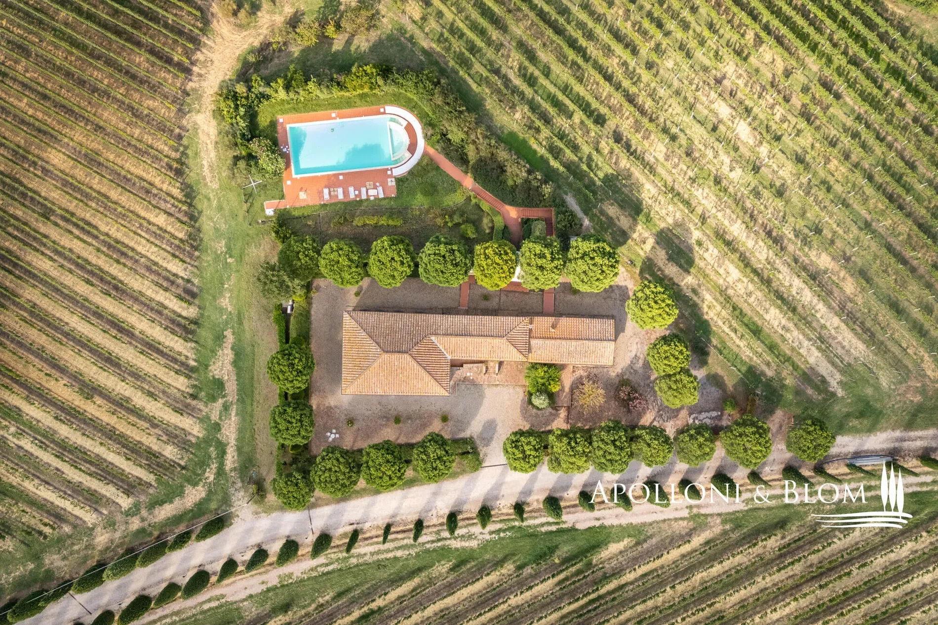 Via di Terra Rossa, Valiano, Tuscany, Italy. - Photo 10