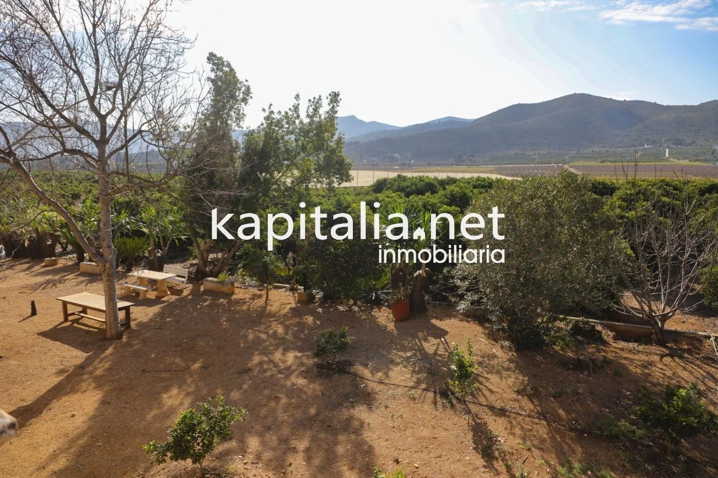 Property photo 7