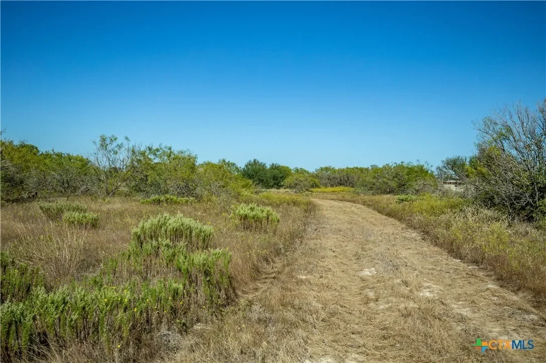 21123 Lamm Road, Elmendorf, TX 78112, Elmendorf, Texas, United States. - Photo 39