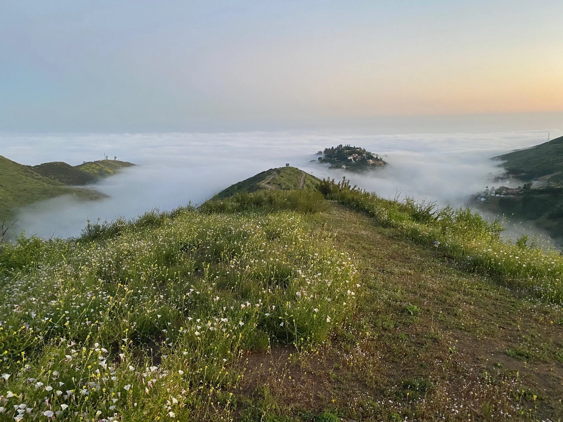 3900 Latigo Canyon Road, Malibu, CA 90265, Malibu, California, United States. - Photo 7