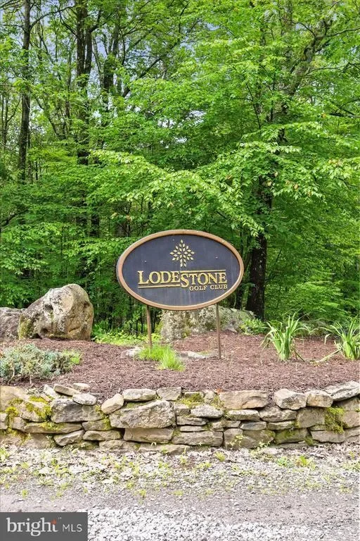 130 LODESTONE WAY WAY, MC HENRY, MD 21541, McHenry, Maryland, United States. - Photo 43