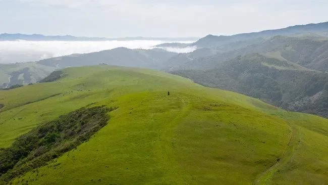 100 Old Stage Rd, San Juan Bautista, California, United States. - Photo 52