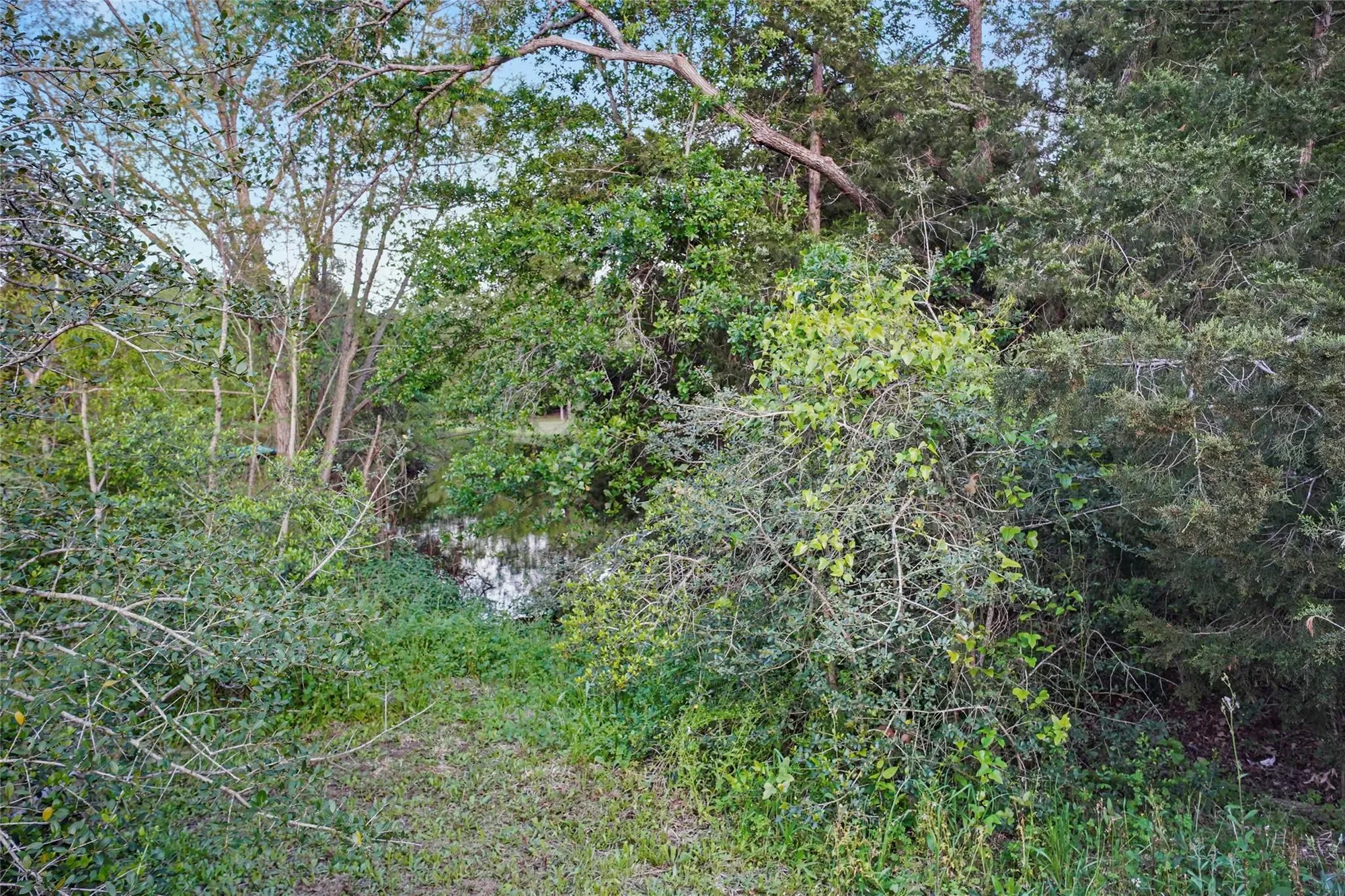 7460 Hidden Pond, Bryan, TX 77808, Wixon Valley, Texas, United States. - Photo 16