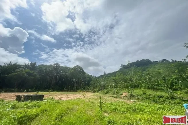 Prime location 98 Rai of land with economic crops near Sametnangshe viewpoint for sale in Phangnga
