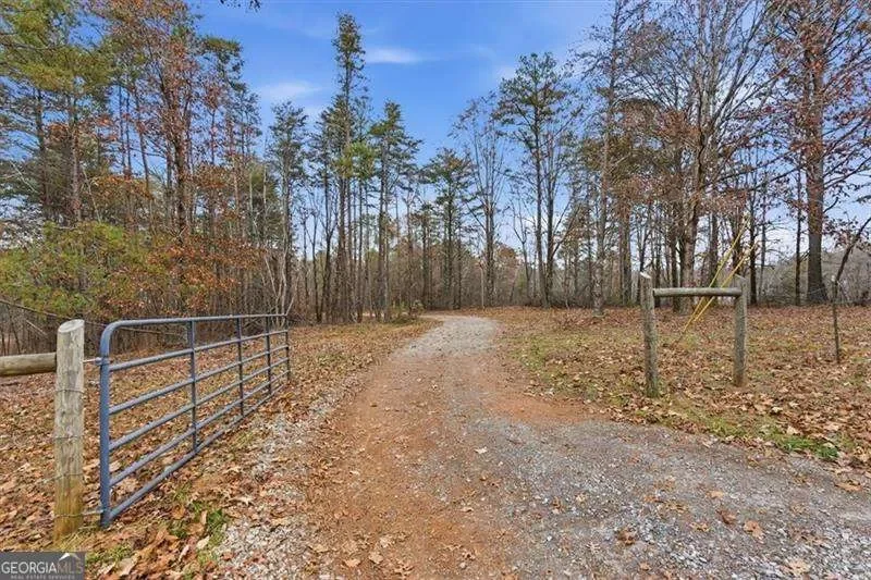 Jasper, Georgia, United States. - Photo 73