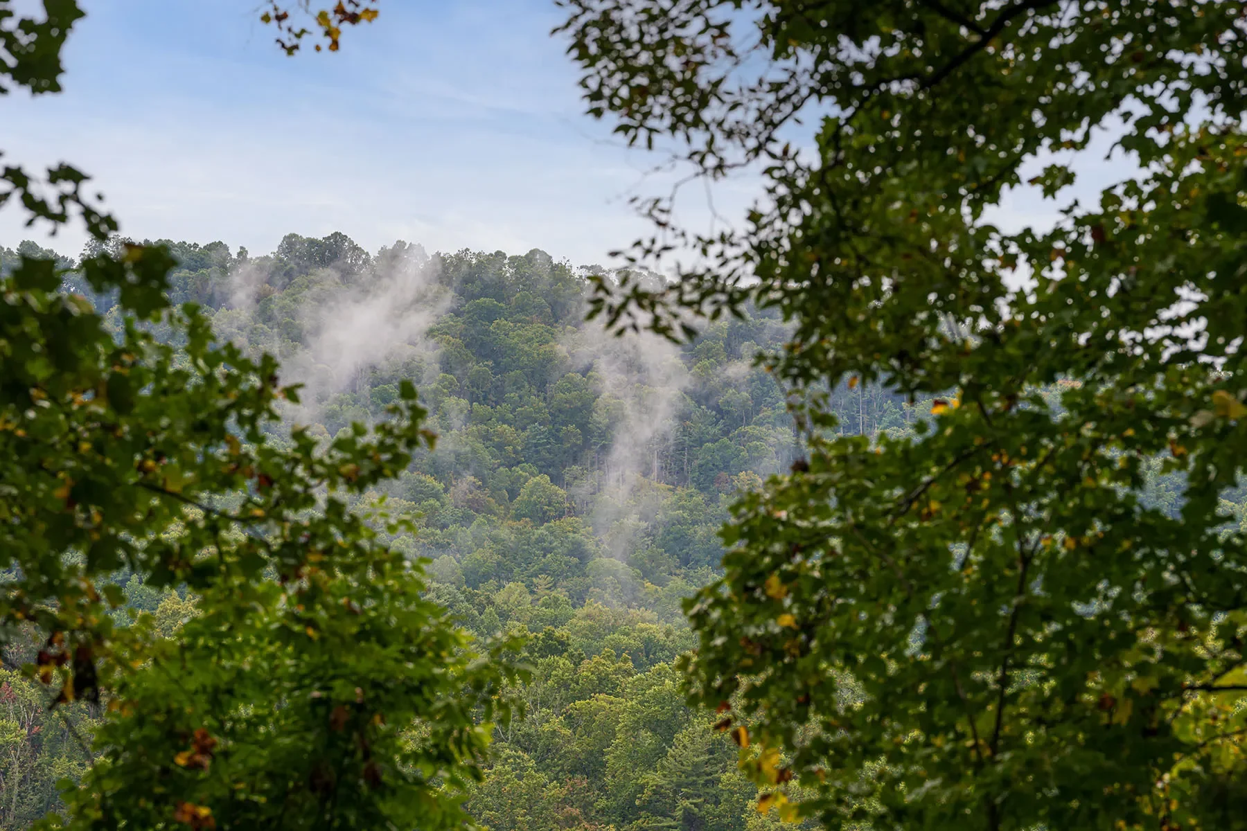 116 Hawk Ridge, Asheville, NC 28804, Asheville, North Carolina, United States. - Photo 9
