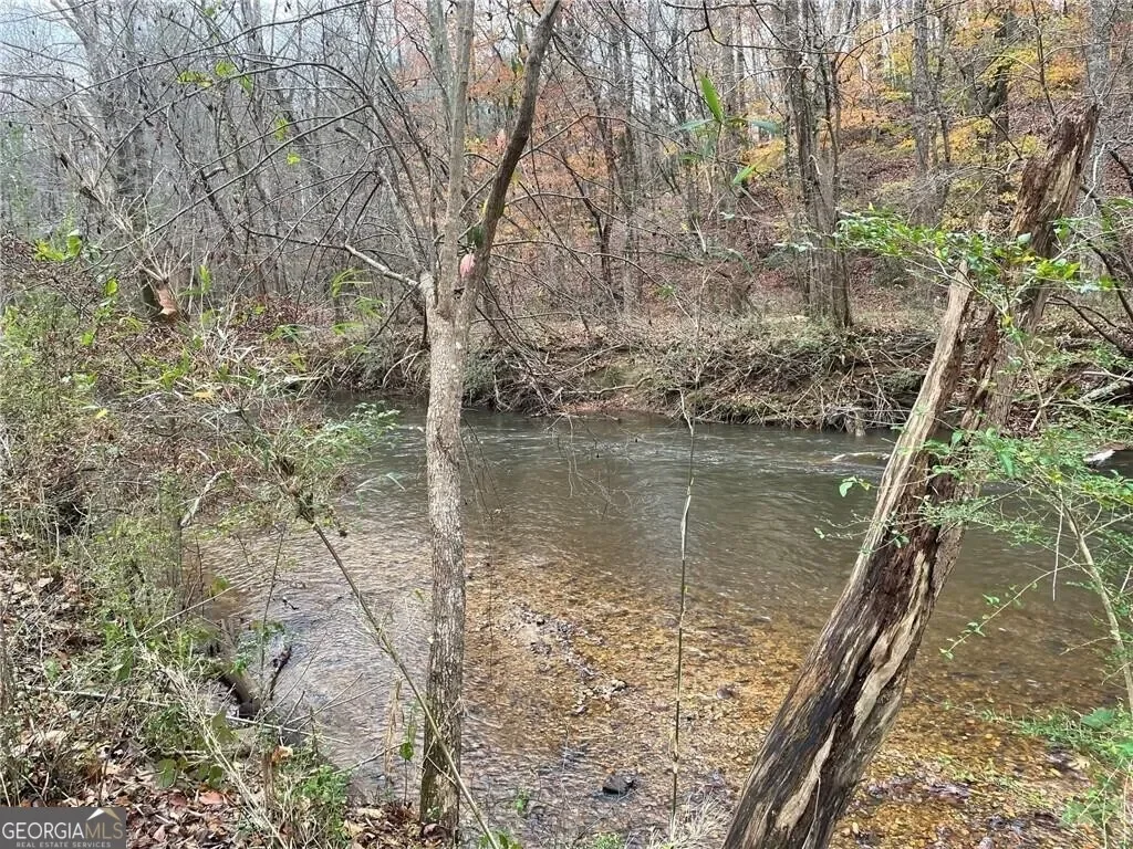 Dahlonega, Georgia, United States. - Photo 67
