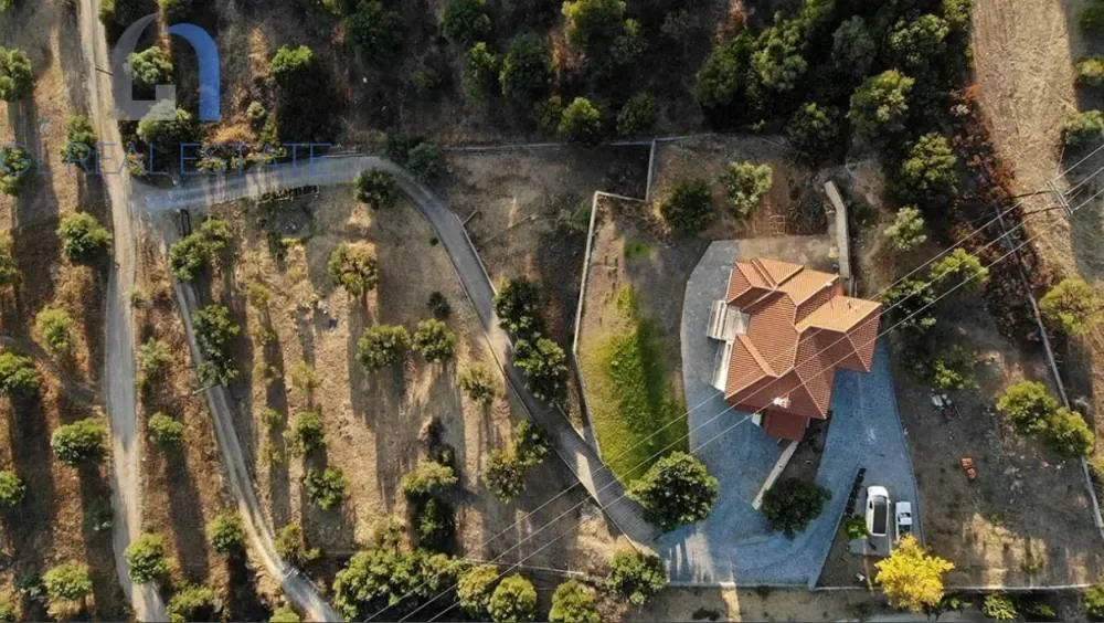 Gallery photo 5