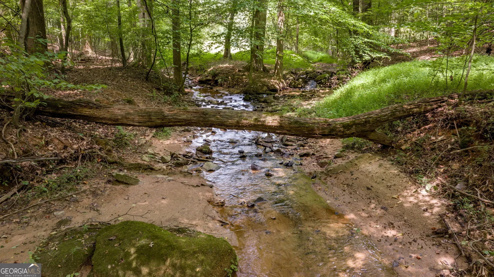 Lula, Georgia, United States. - Photo 75