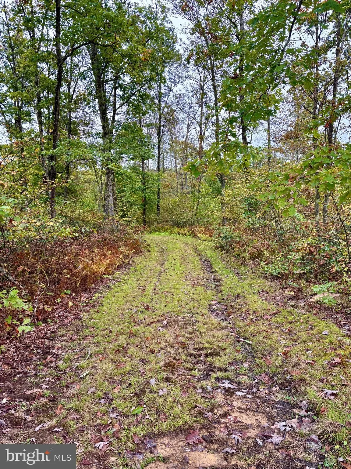 31-36 BEECH CREEK MOUNTAIN RD ROAD, BEECH CREEK, PA 16822, Beech Creek, Pennsylvania, United States. - Photo 21
