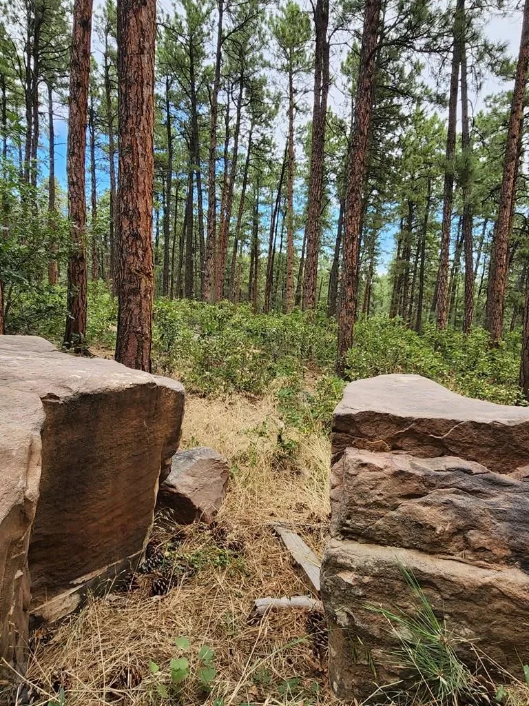 8495 Ridge Rd., Beulah, CO 81023, Beulah Valley, Colorado, United States. - Photo 9