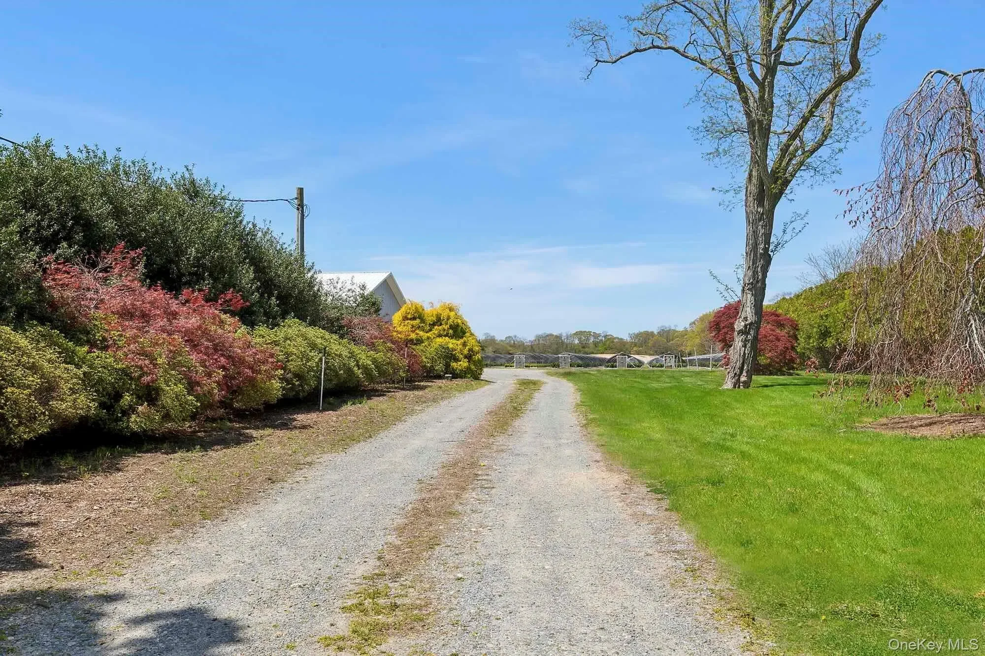 935 Franklinville Road, Laurel, New York, United States. - Photo 5
