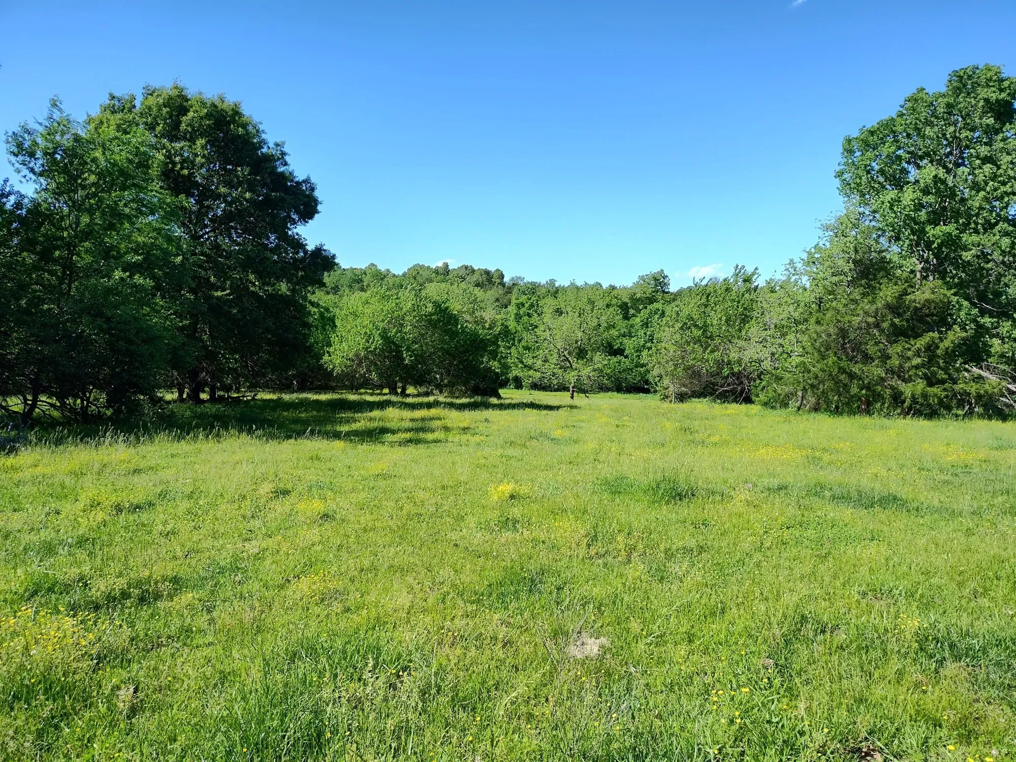 1898 E 332nd Road, Polk, MO 65727, Bolivar, Missouri, United States. - Photo 86