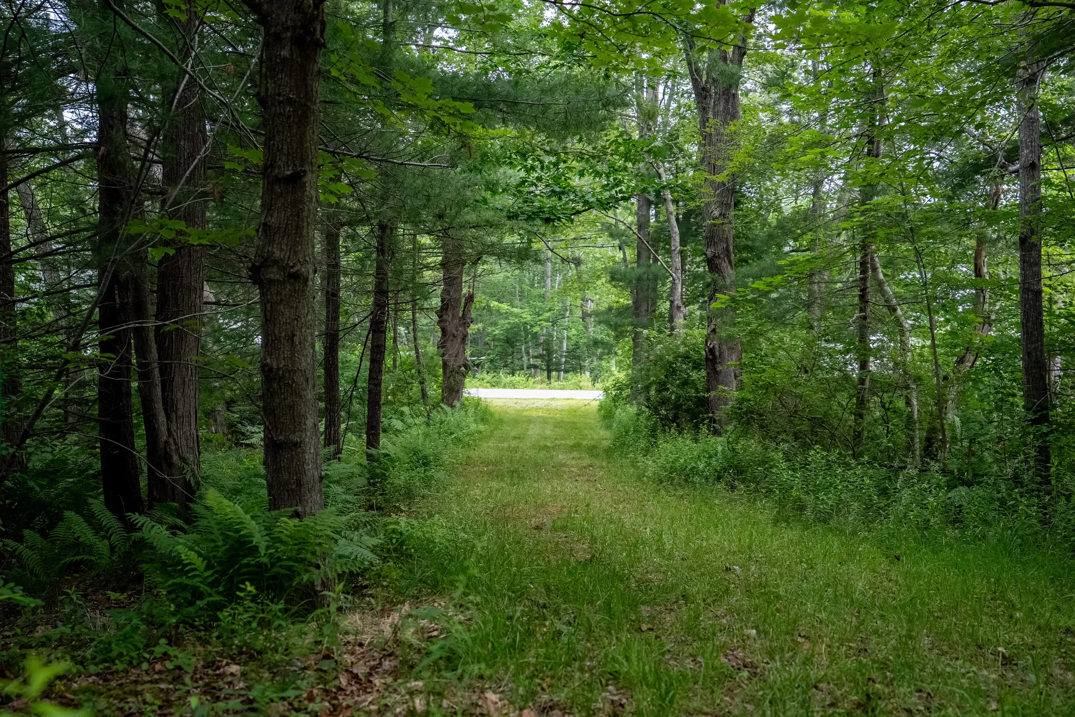 Wildes District Road, Kennebunkport, ME 04046, Kennebunkport, Maine, United States. - Photo 3