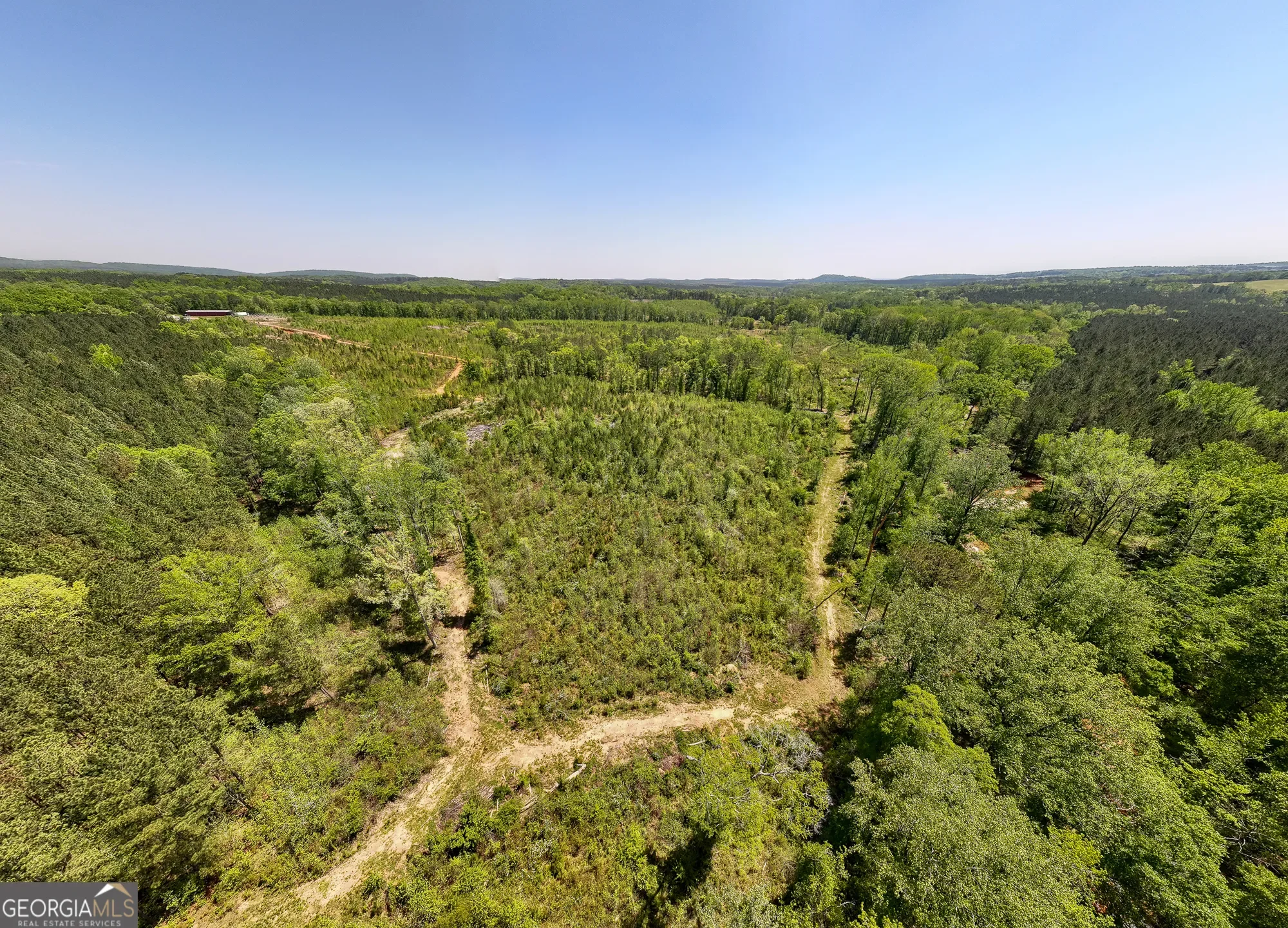 Shiloh, Georgia, United States. - Photo 30