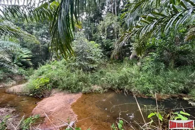 Phang Nga,, Thai Mueang, Phang-nga, Thailand. - Photo 4