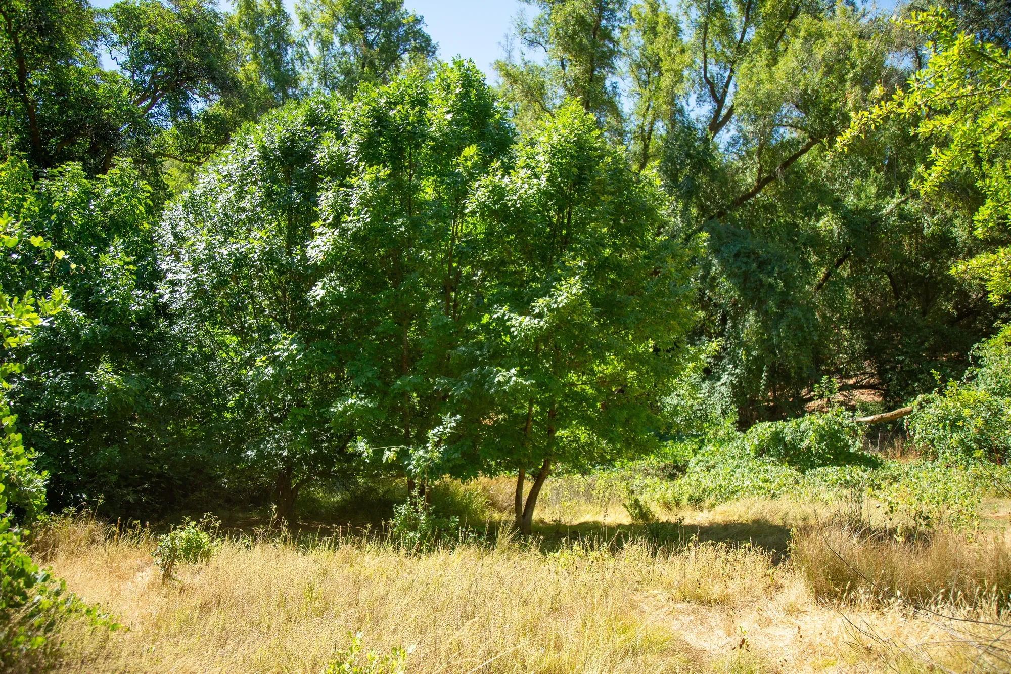 29810 River Road , Cloverdale, CA 95425, Cloverdale, California, United States. - Photo 31