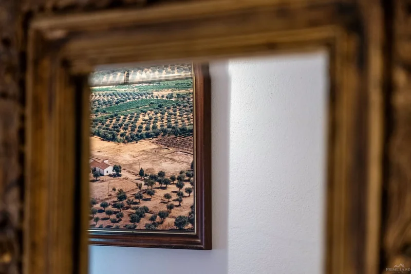 Beja, Selmes, Beja District, Portugal. - Photo 136
