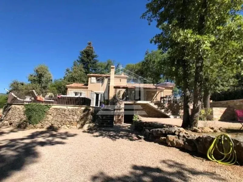 Montauroux, Provence-Alpes-Côte d'Azur, France. - Photo 4