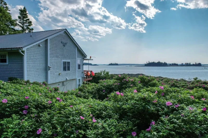 397 Cape Split Road, Addison, ME 04606, Addison, Maine, United States. - Photo 44