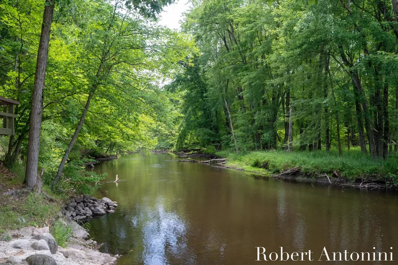 4751 S Johnson Road, Gowen, MI 49326, Greenville, Michigan, United States. - Photo 14