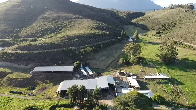 Riversdale, Western Cape, South Africa. - Photo 11