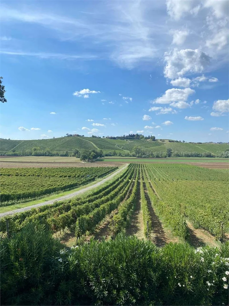 Piacenza, Emilia-Romagna, Italy. - Photo 6