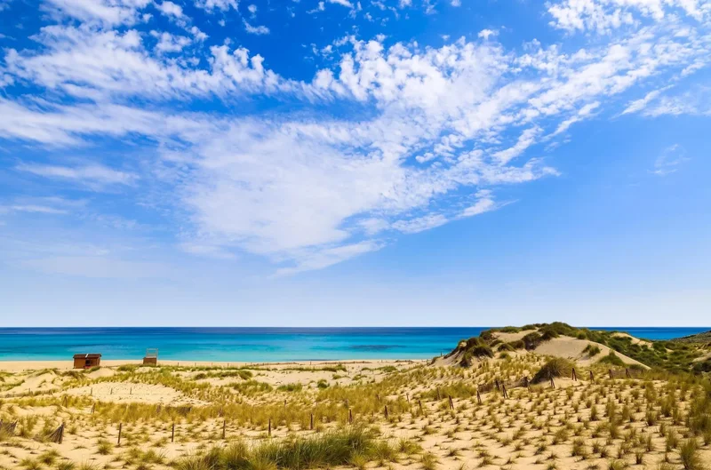 Capdepera, Capdepera, BALEARES, Capdepera, Capdepera, Balearic Islands, Spain. - Photo 27