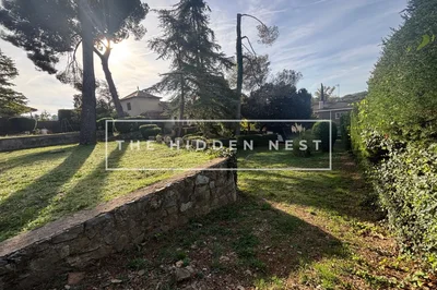 Thumbnail 19