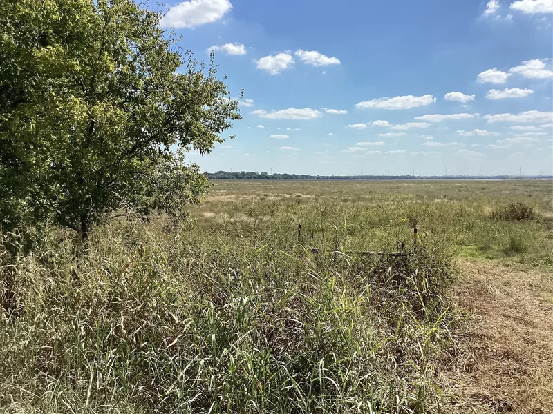 Tbd SW CR 3160, Dawson, TX 76639, Hubbard, Texas, United States. - Photo 7