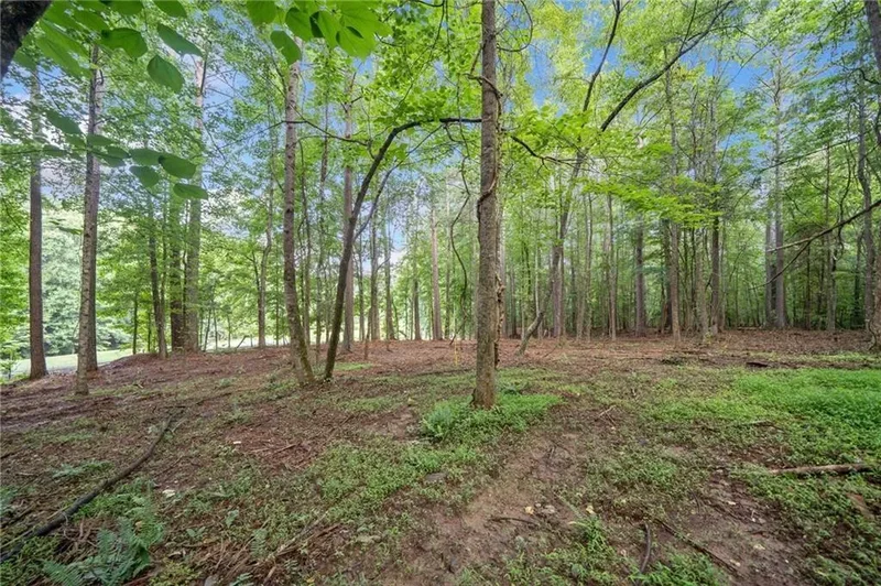 225 Brock Trail, Milton, United States. - Photo 8