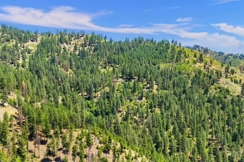 TBD Robie Creek Rd, Boise, ID 83716, Boise, Idaho, United States. - Photo 3