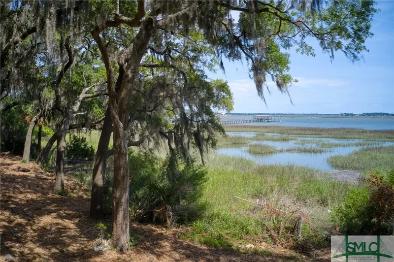 9 Longbridge Road, Savannah, Georgia, United States. - Photo 8