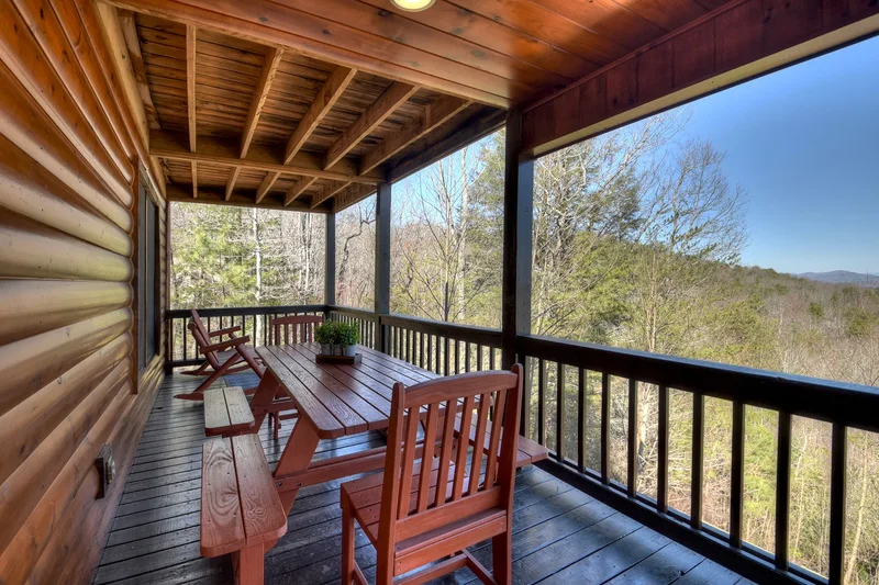 620 Price Road, Blue Ridge, GA 30513, Blue Ridge, Georgia, United States. - Photo 57
